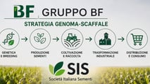 BF acquista sito Syngenta: focus su sementi mais ibrido