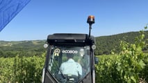 Enovitis in Campo 2026: tutte le novità tra i filari del Chianti
