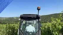 Enovitis in Campo 2026: tutte le novità tra i filari del Chianti