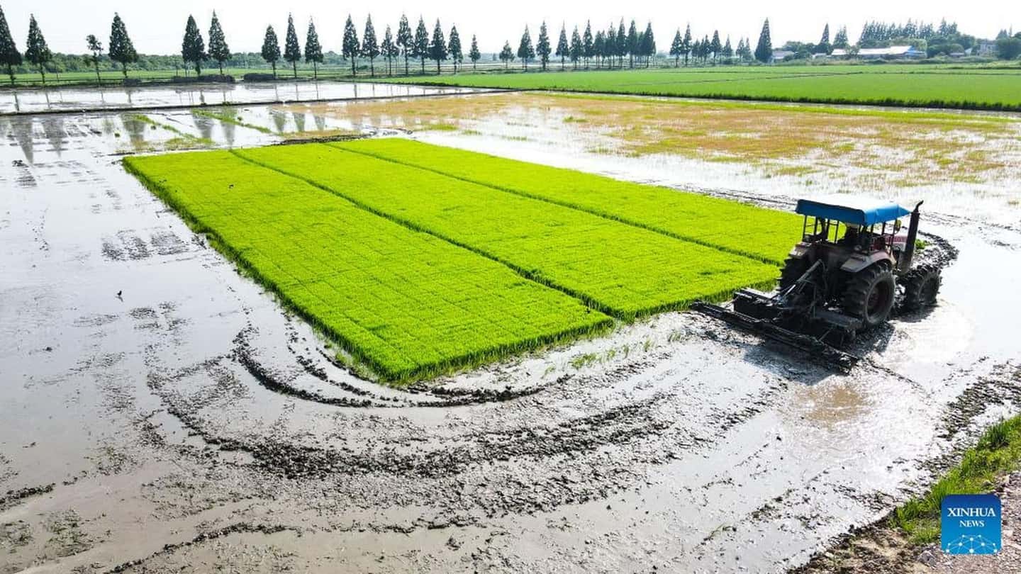 Agricoltura cinese e nuovo piano cooperativo 2026-2030