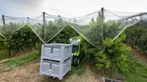 Merlo e-Worker: il sollevatore elettrico col bonus trattore