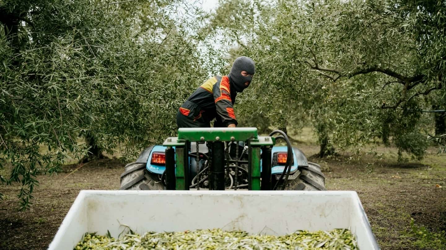 Allarme furti nelle campagne pugliesi