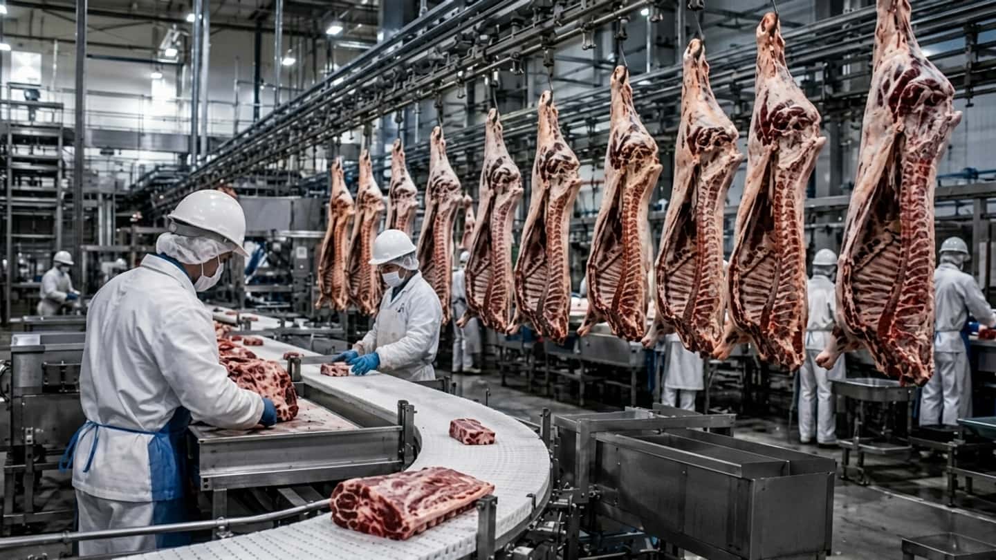 Berti compra Vicentini Carni: filiera bovina verso 500 milioni
