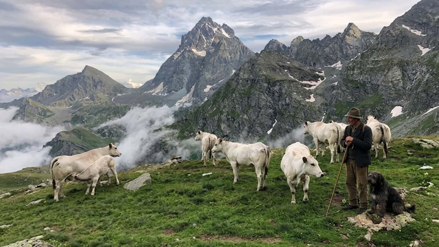 Piemonte, 820 milioni per lo sviluppo rurale 2023-2027