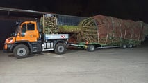 Natale 2023, l'abete Nordmann trainato da un Unimog U 435