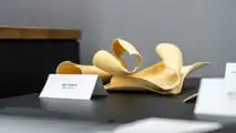 Mercedes Bio-Engineered Synthetic Materials