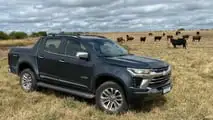 A S10 em seu ambiente - um campo em Fray Marcos, no interior do Uruguai (3)
