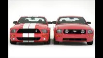 Entfesselter Mustang