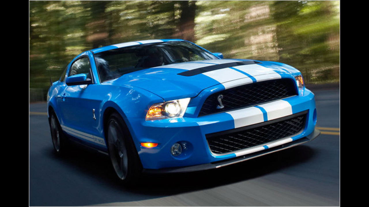 Mehr Muskeln für Mustang