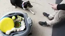 Piaggio Gita