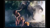 Pirelli-Kalender 2009