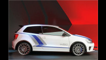 Rallyeflitzer für Jedermann