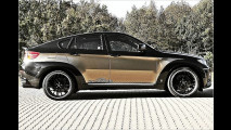 AC Schnitzer Falcon