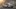 hyundai ioniq5 will getnew battery