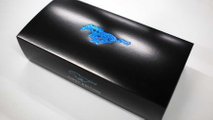 Ford Mustang Mach-E 3D-Printed Sculpture Box