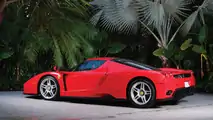 Hilfiger Ferrari Enzo