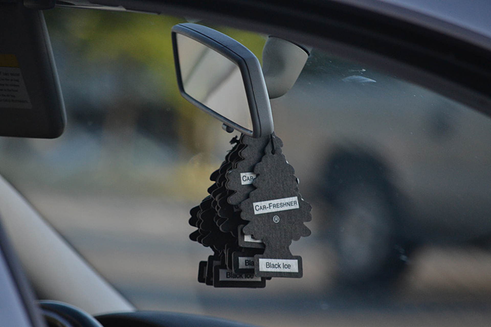 The Story Behind the Little Trees Air Fresheners