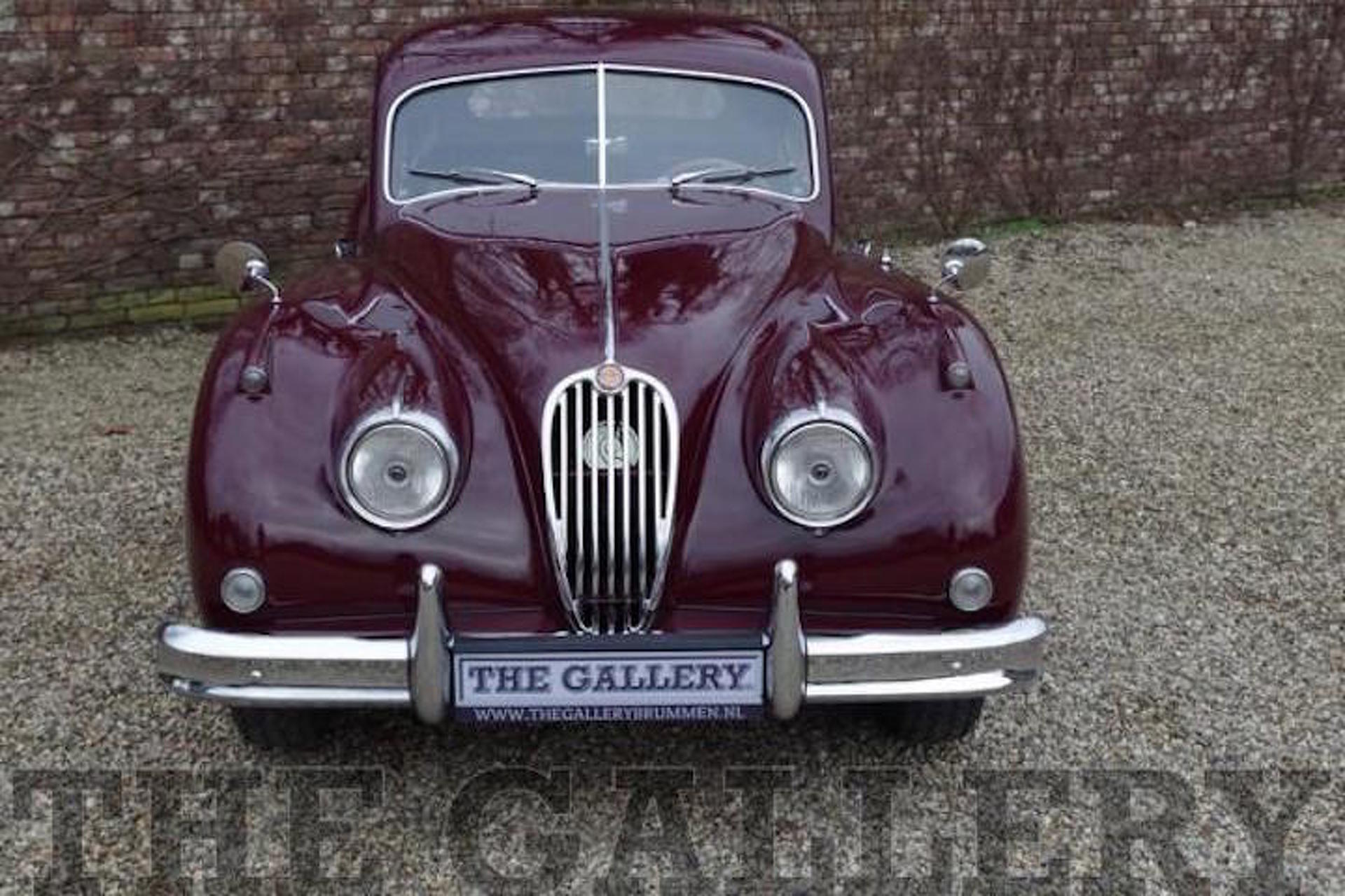 Is This the Movie Jaguar No One Noticed, Or Just a Hoax?