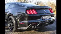 Der Mega-Mustang kommt zu uns