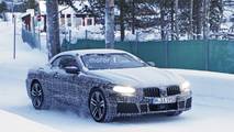 BMW 8 Serisi Cabrio casus fotoğraf