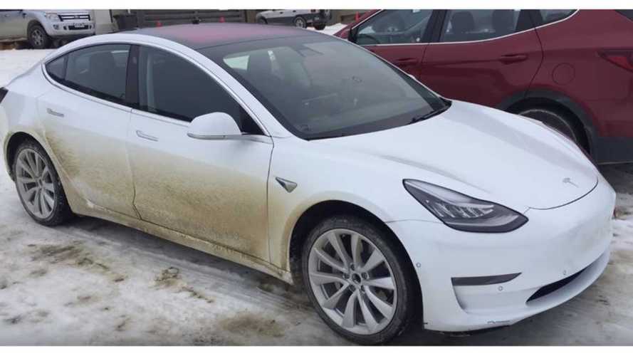 Tesla Model 3 Sighting In New Zealand Video