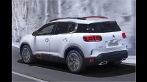 Franzosen-Tiguan