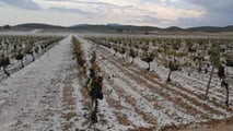 Clima estremo e cooperative: il rischio di perdere la mutualità prevalente con più tasse e adempimenti. Cosa dice la legge oggi