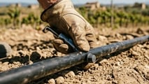 Gocciolatori autocompensanti 2026: scelta per vigneti, frutteti