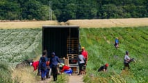 Controlli in agricoltura 2026: più ispettori contro il caporalato