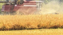Scelta tra pneumatici VF in primo equipaggiamento o retrofit su mietitrebbia per bilanciare compattazione del suolo, costi operativi e ritorno economico