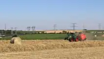 Rotopressa o pressa quadra per la paglia di orzo?