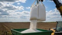  Urea +80%: fertilizzanti alle stelle, a rischio pasta e pane