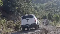 Volkswagen Amarok Dark Label 2026