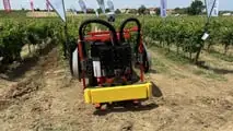 Top attrezzature a Enovitis in Campo 2025