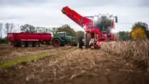 Grimme rinnova la serie Varitron di raccoglitrici semoventi a due file