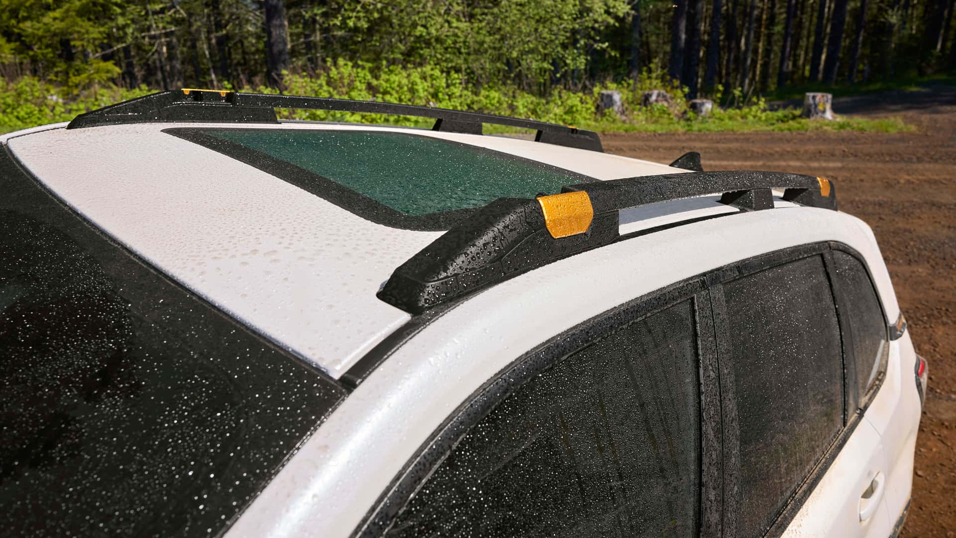 https://cdn.motor1.com/images/mgl/xqK1Az/s1/2025-subaru-forester-wilderness.jpg