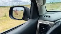 6 mil km de S10 - retrovisores de bom tamanho