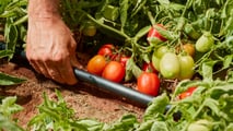 Irritec: irrigazione smart a EIMA International 2024