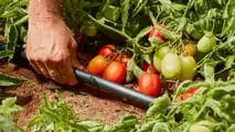 Irritec: irrigazione smart a EIMA International 2024