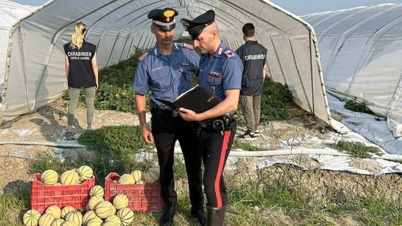 sgravi-persi-dal-1-dicembre-niente-incentivi-senza-offerta-siisl