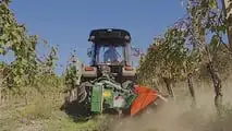 Solis N90 Frutteto: trattore indiano per vigneti italiani?
