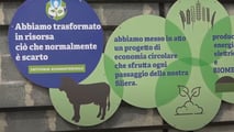 Biometano per automobili: dal letame il pieno in azienda agricola
