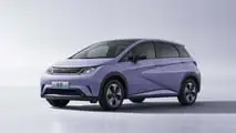 BYD Dolphin 12