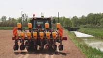 MaterMacc MS8230: la seminatrice di precisione su mais a Bibione