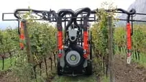 Attrezzature da vigneto e frutteto TOP per il 2024