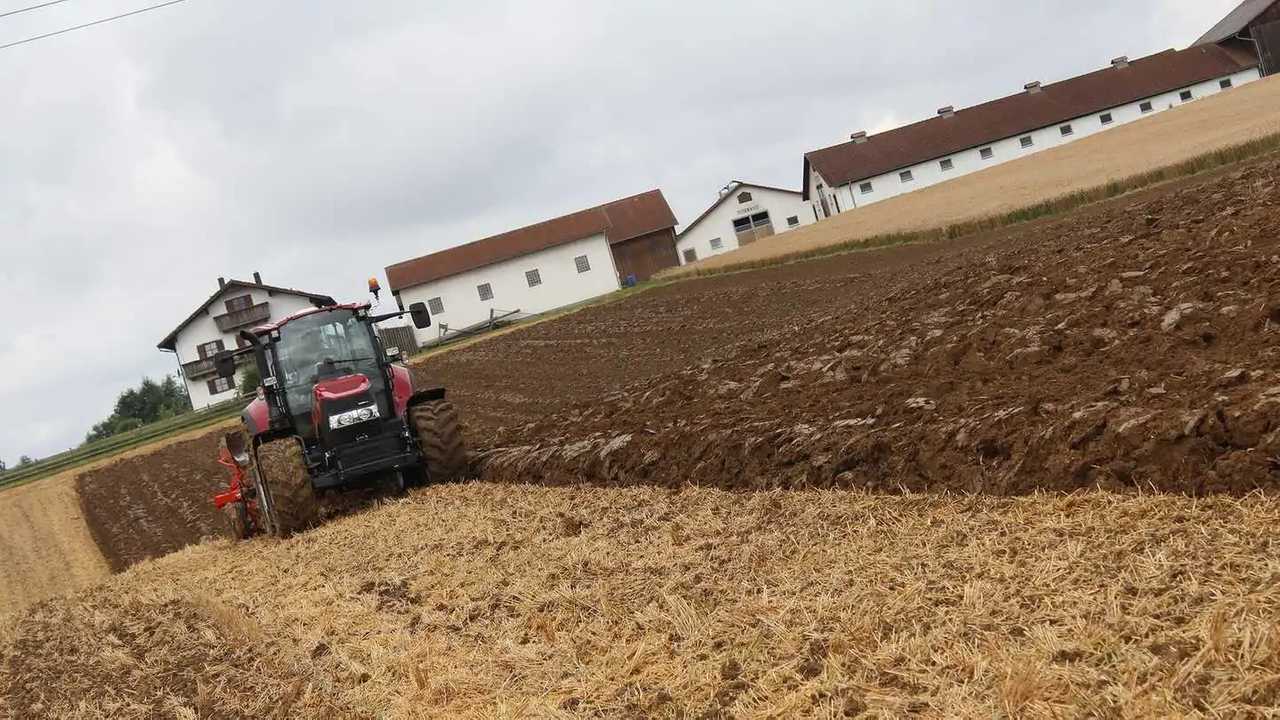 Terreno agricolo in affitto: indennità di miglioramento