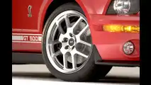 Entfesselter Mustang