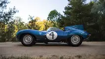 1955 Jaguar D-Type