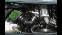 Geigers Hammer-Hummer