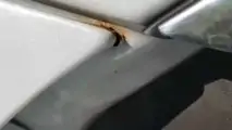 Tesla Model 3 Rust